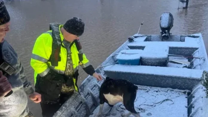Daviess county emergency rescue amid flood waters