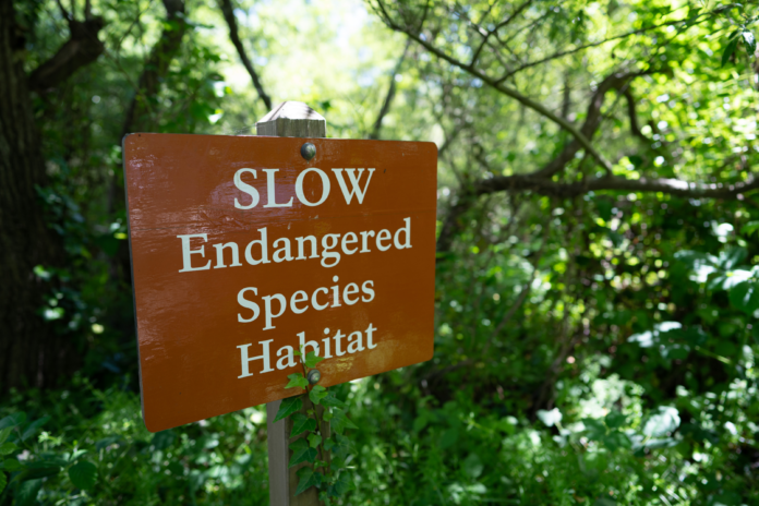 Organizations Protecting Endangered Animals