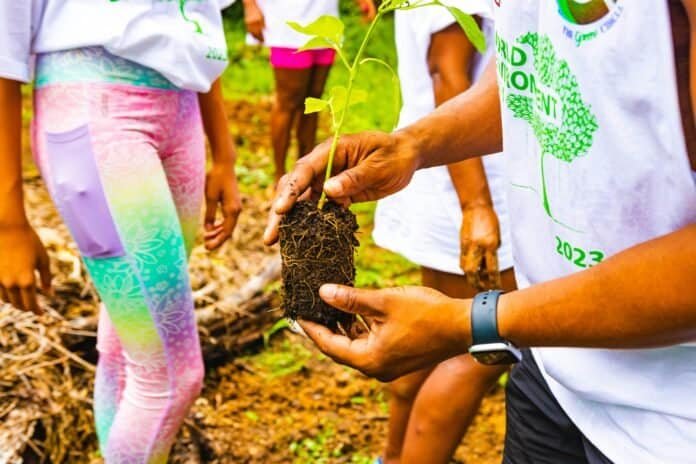 a group of people planting a tree to represent Young Nature Leaders Grant