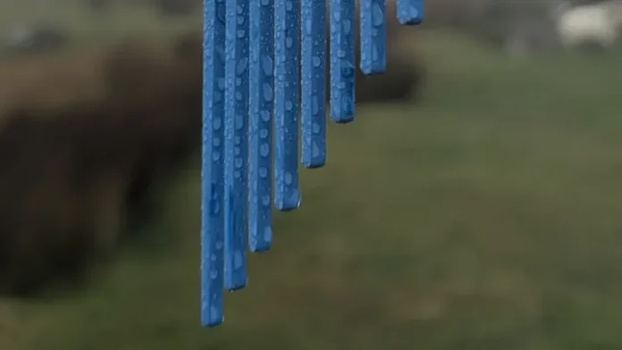 wellcomb against greenery
