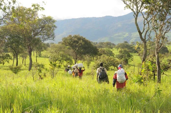 Rainforest Trust-backed field team