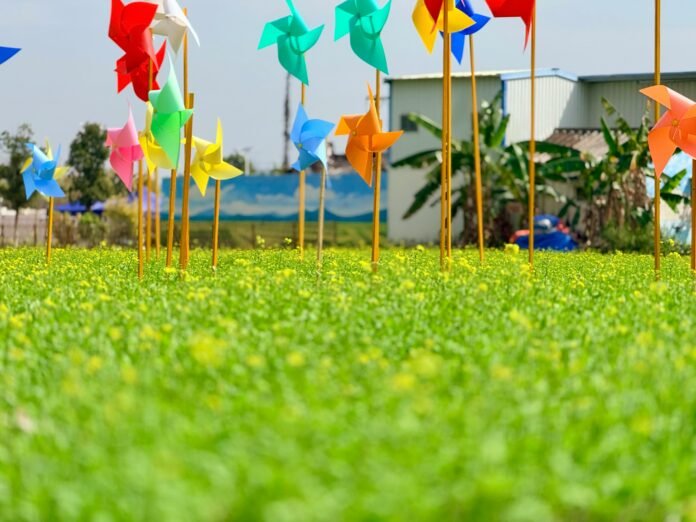 Colourful pinwheels in a green field to represent Small Green Arts Fund