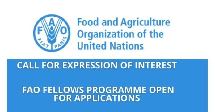 FAO Fellows Programme logo