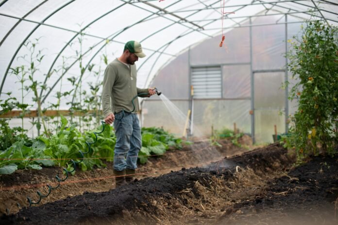 A Florida farmer on his farm