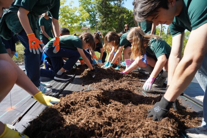 students planting trees under TREEAMS intiative