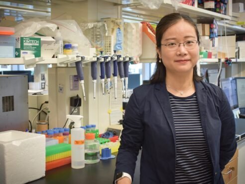 The Translational Medicine Faculty Starter Grant