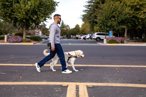 person using service animal from Guide Dogs for the Blind