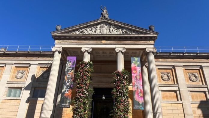 Oxford and United Nations Fellowship