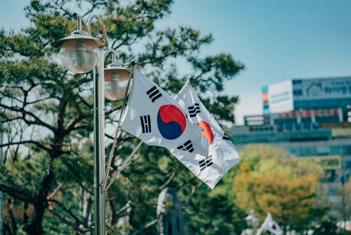 South Korea's flag
