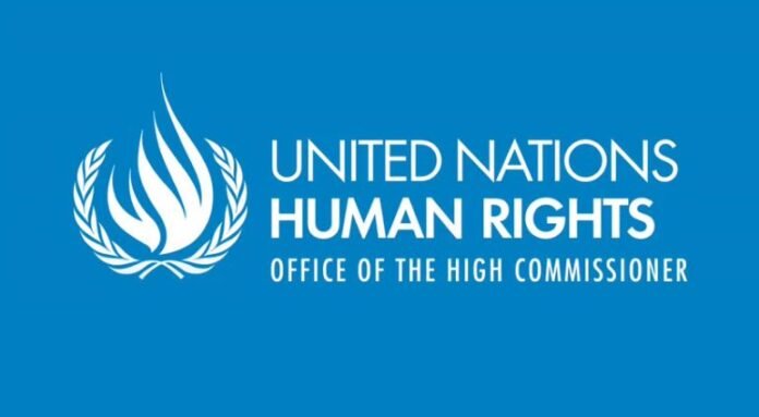 UN OHCHR Fellowship
