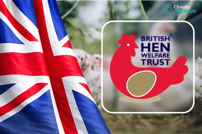 The Union Jack flag on the left and a white rounded square containing the British Hen Welfare Trust logo on the right.