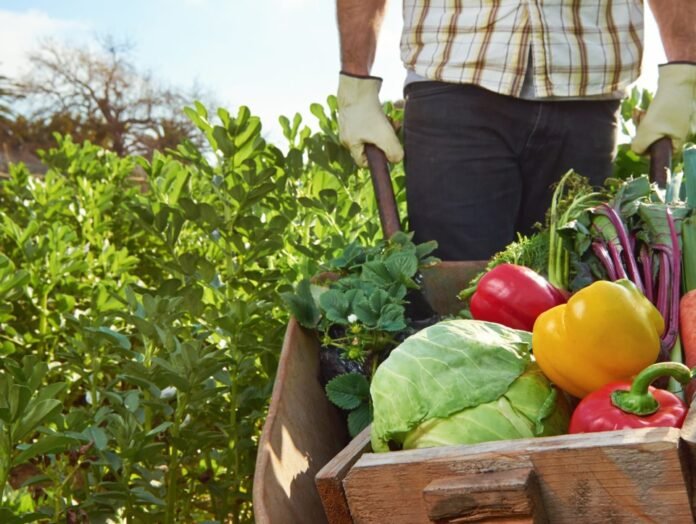 Michigan Food Safety Education Fund