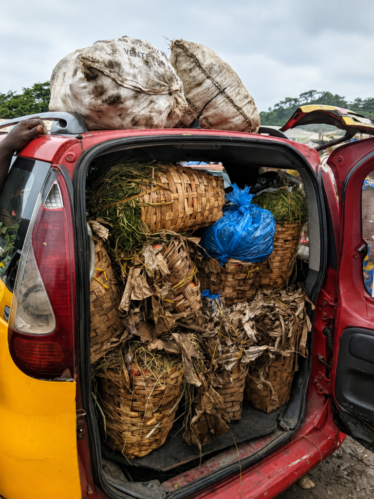 Food damaged during transportation